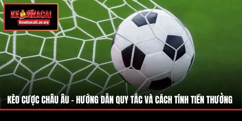 Kèo Cược Châu Âu - Hướng Dẫn Quy Tắc Và Cách Tính Tiền Thưởng