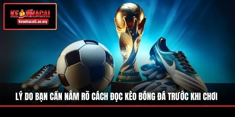 Lý do bạn cần nắm rõ cách đọc kèo bóng đá trước khi chơi