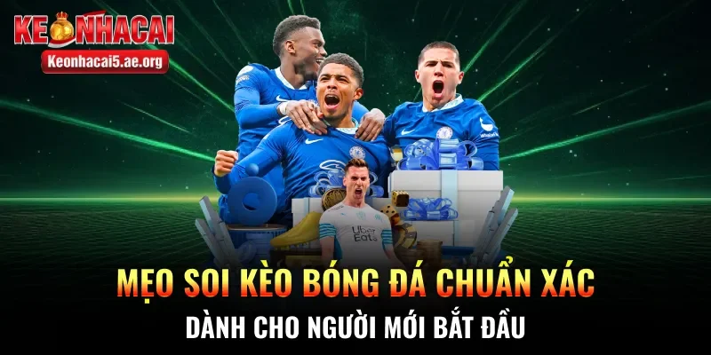 Mẹo soi kèo bóng đá chuẩn xác dành cho người mới bắt đầu